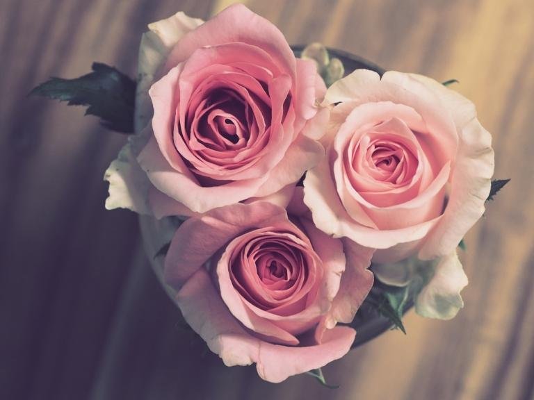 Flowers as Gifts Flowers Delivery in Dubai