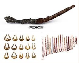 The Museum Collections