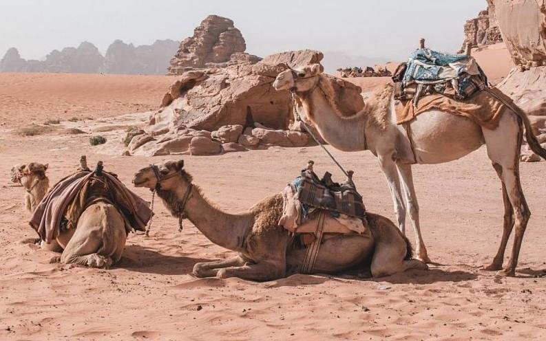 8 Things in Dubai