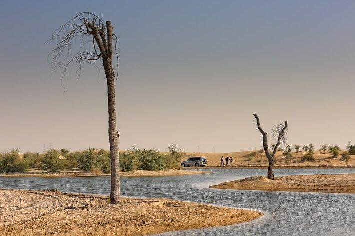 10 Hidden Tourist Places in Dubai: Al Qudra Lake