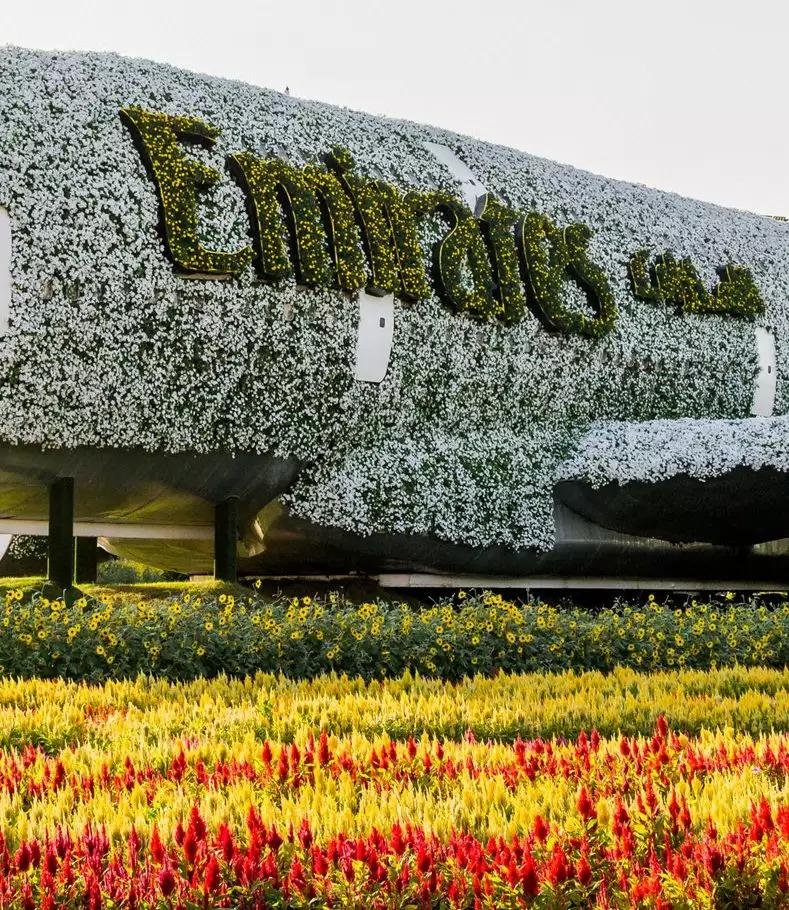 Dubai Miracle Garden