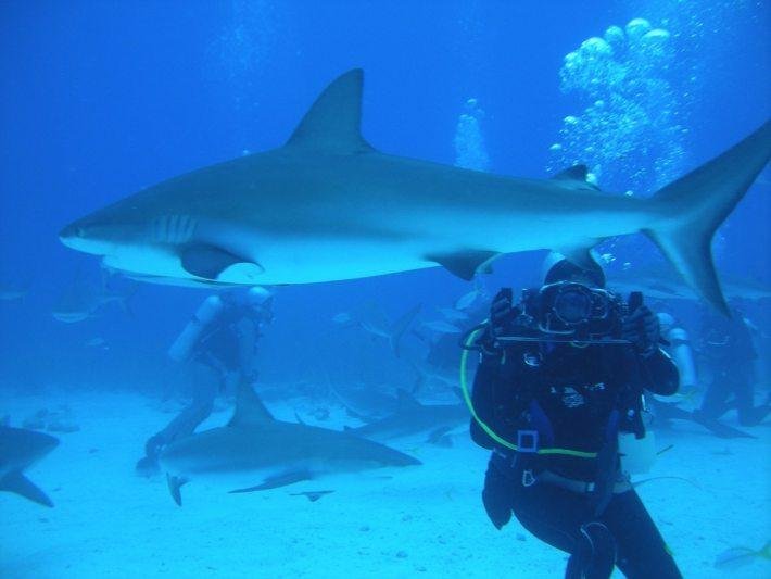 Thrilling Rides You Must Try In Dubai