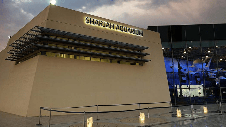 Explore Sharjah Aquarium: Discover the Underwater Wonders