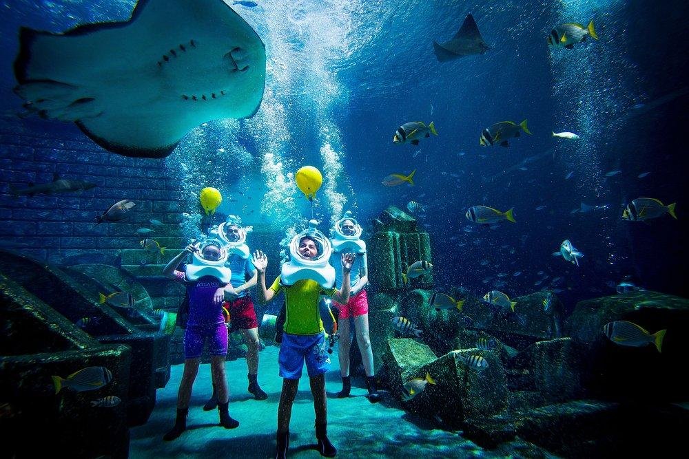 The Lost Chambers Aquarium