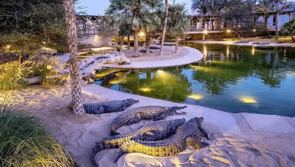 Dubai Crocodile Park