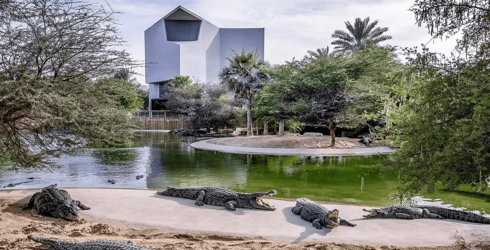 Dubai Crocodile Park