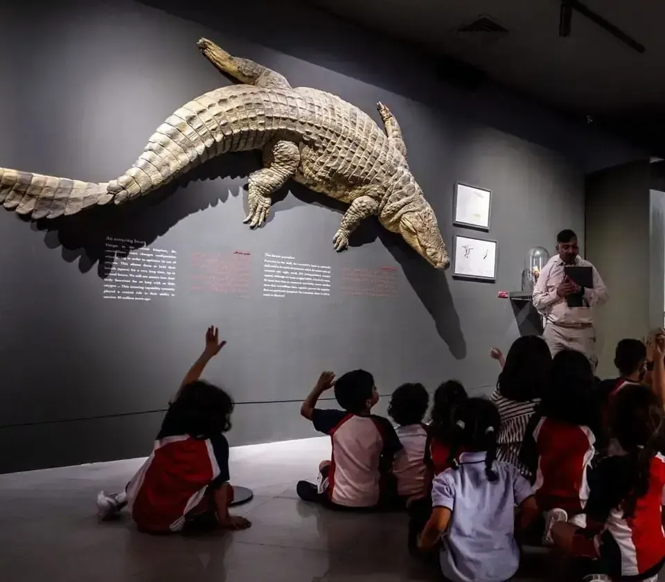 Educational Experiences and Close Encounters